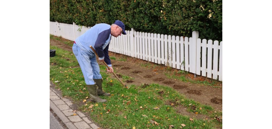 Der Ortsbürgermeister beim pflanzen