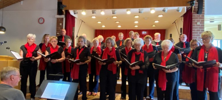 More and More Singers beim Sommerfest in Moringen