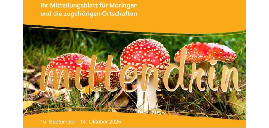 ein Ausschnitt des Titelbildes von der aktuellen Ausgabe