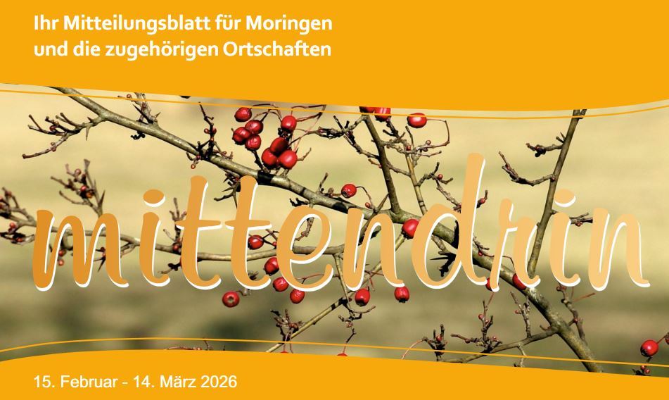 ein Ausschnitt des Titelbildes von der aktuellen Ausgabe