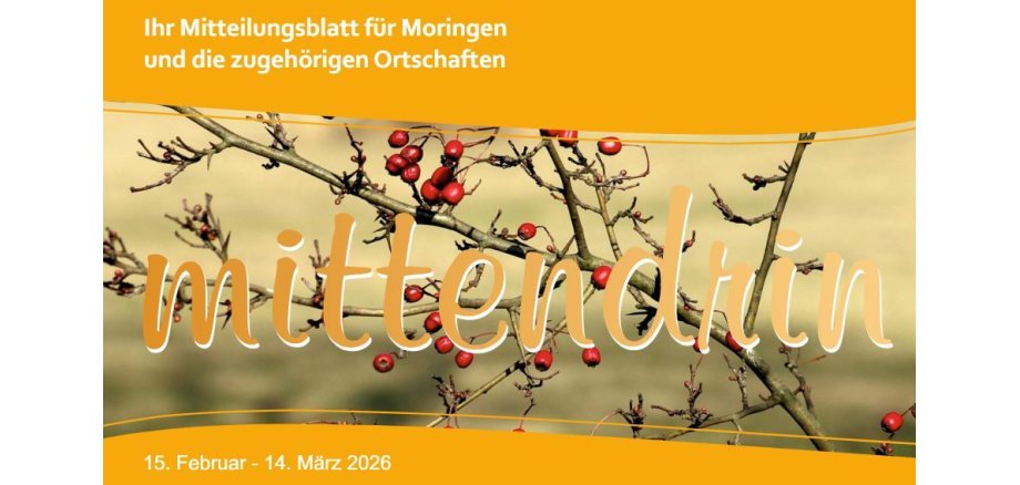 ein Ausschnitt des Titelbildes von der aktuellen Ausgabe