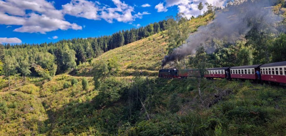 eine Dampflok beim Fahren in der Natur