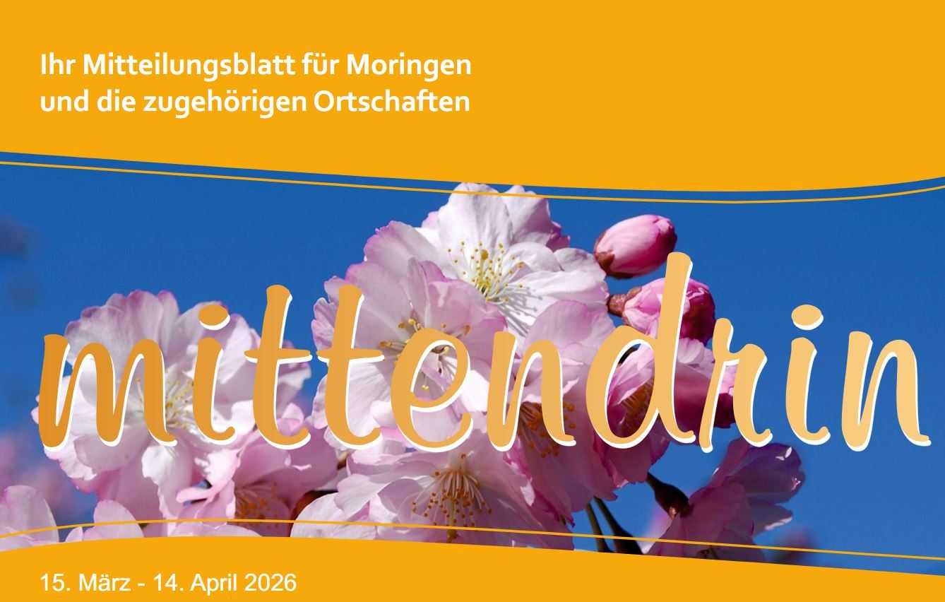 ein Ausschnitt des Titelbildes von der aktuellen Ausgabe