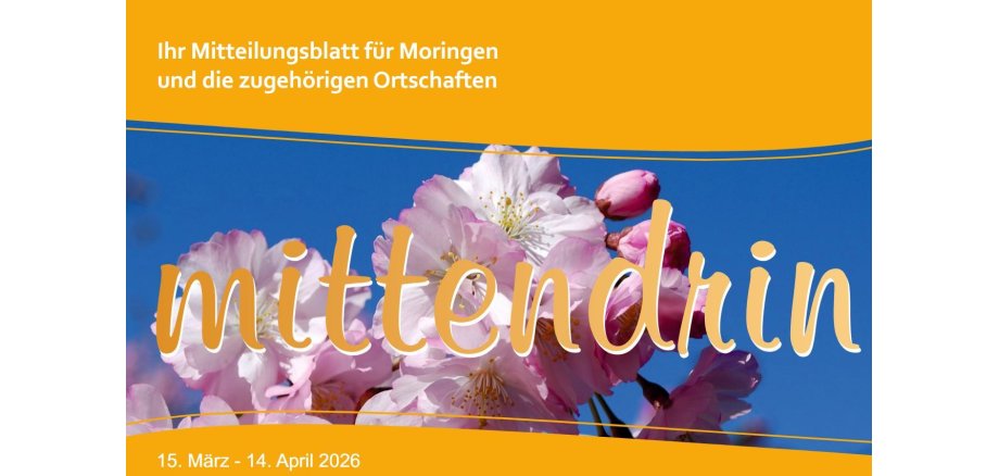 ein Ausschnitt des Titelbildes von der aktuellen Ausgabe