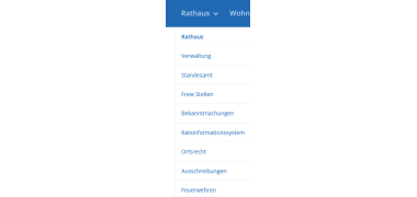 Ein Scrennshot der Webseite der Stadt Moringen