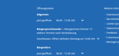 Ein Scrennshot der Webseite der Stadt Moringen
