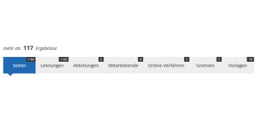 Ein Scrennshot der Webseite der Stadt Moringen