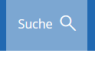 Ein Scrennshot der Webseite der Stadt Moringen