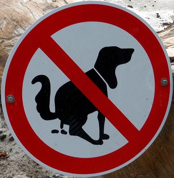 Schild Verbot Hundekot