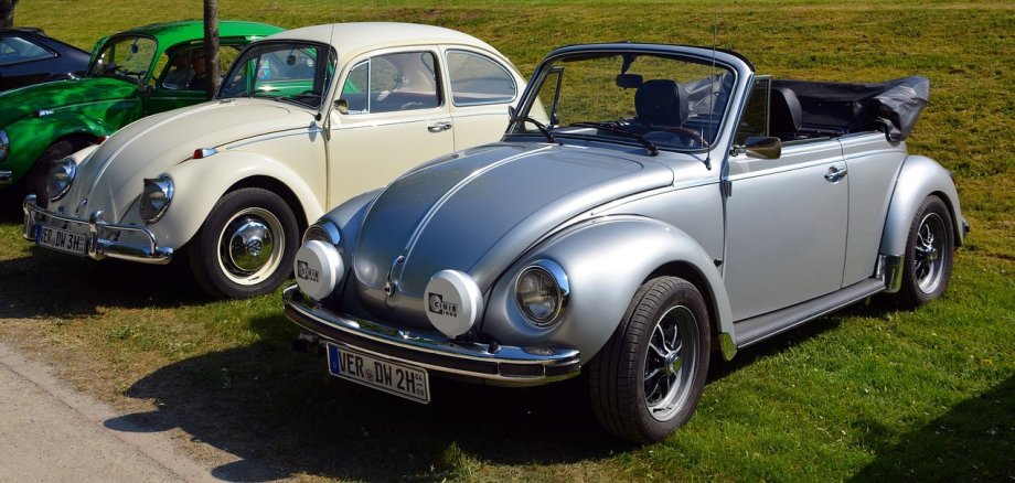 Drei VW Käfer auf einer Wiese