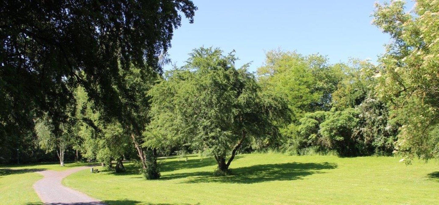 Das Bild zeigt den Stadtpark der Stadt Moringen