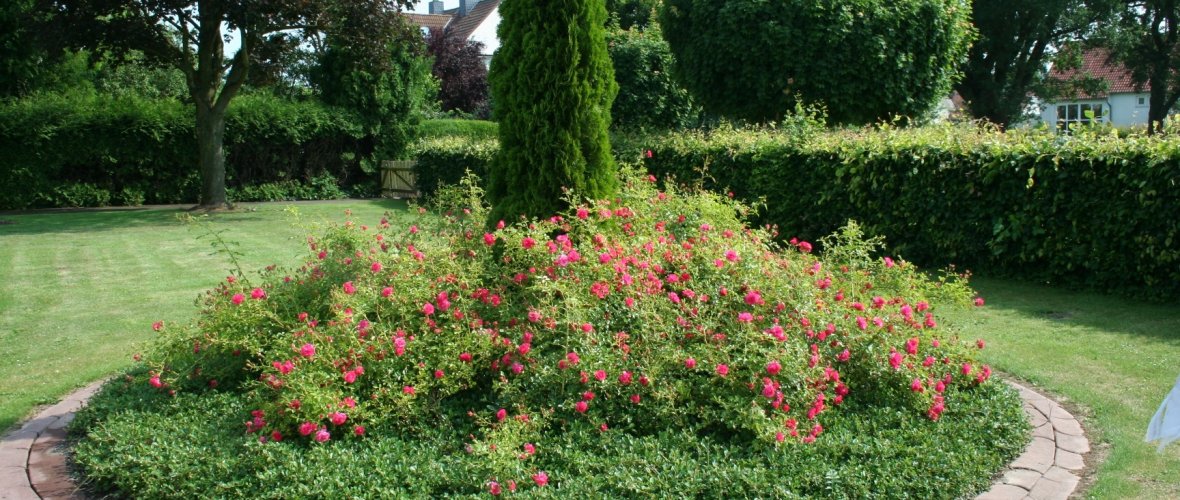 Foto vom Rondell auf dem Friedhof in Behrensen