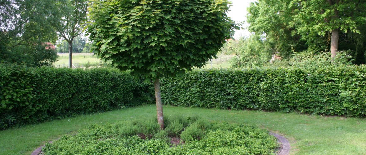 Foto vom Rondell auf dem Friedhof in Lutterbeck