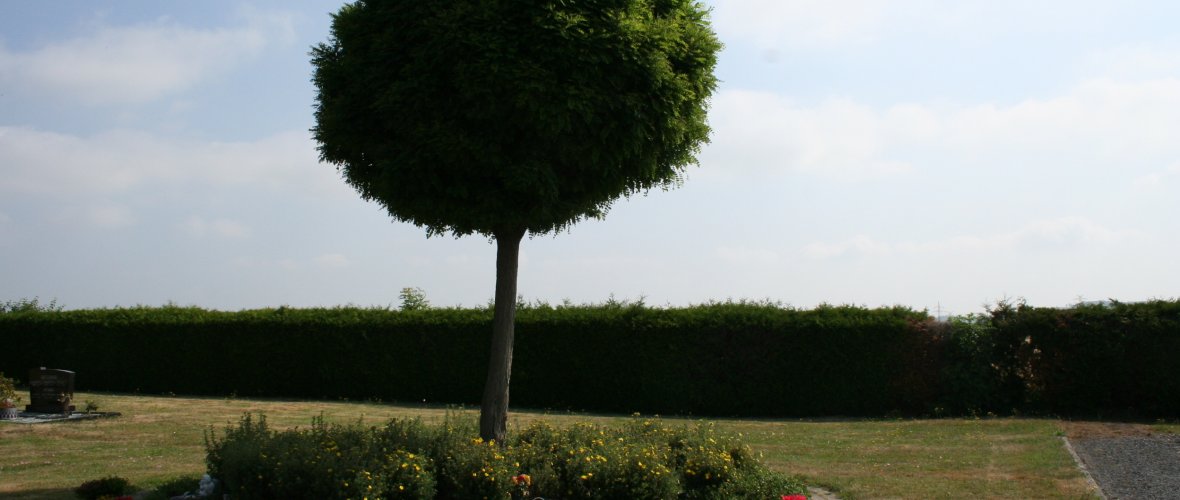 Foto vom Rondell auf dem Friedhof in Thüdinghausen