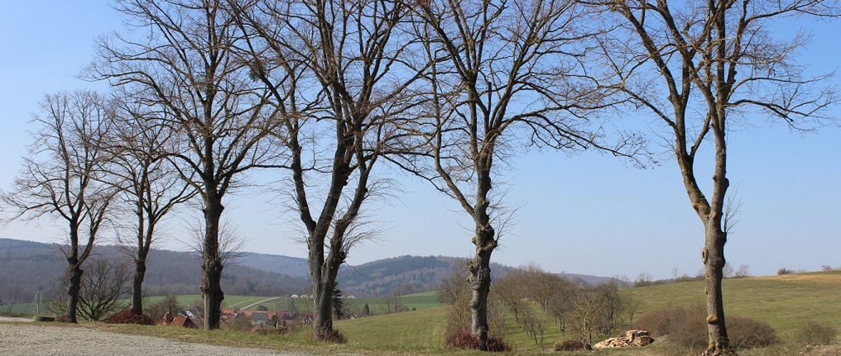 Das Bild zeigt die Aussicht vom Wohnmobilstellplatz. Blauer Himmel, Bäume und Hügel 